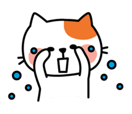 Cat of everyday conversation, greeting sticker #2556109