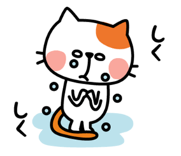 Cat of everyday conversation, greeting sticker #2556111