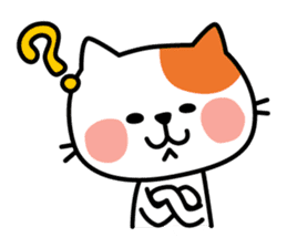 Cat of everyday conversation, greeting sticker #2556120
