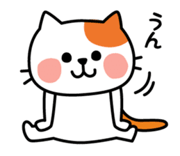 Cat of everyday conversation, greeting sticker #2556121