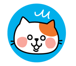 Cat of everyday conversation, greeting sticker #2556123