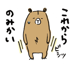 Beloved wife bear sticker #2556187