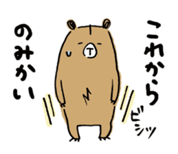 Beloved wife bear sticker #2556187