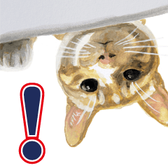 Cats, nothing special, in English