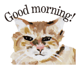 Cats, nothing special, in English sticker #2560367