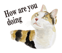Cats, nothing special, in English sticker #2560369