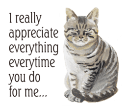 Cats, nothing special, in English sticker #2560370