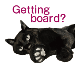 Cats, nothing special, in English sticker #2560374