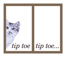 Cats, nothing special, in English sticker #2560375