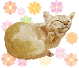 Cats, nothing special, in English sticker #2560378