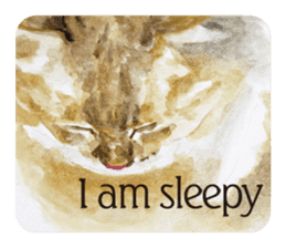 Cats, nothing special, in English sticker #2560380