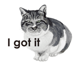 Cats, nothing special, in English sticker #2560381