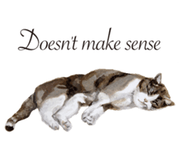 Cats, nothing special, in English sticker #2560382