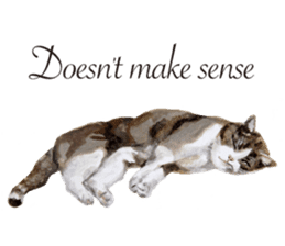 Cats, nothing special, in English sticker #2560382