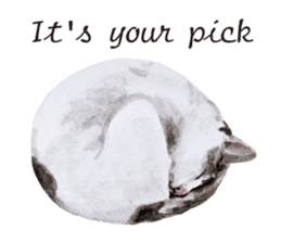 Cats, nothing special, in English sticker #2560383