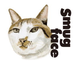 Cats, nothing special, in English sticker #2560384