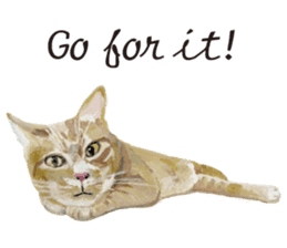 Cats, nothing special, in English sticker #2560386