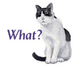 Cats, nothing special, in English sticker #2560387