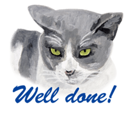 Cats, nothing special, in English sticker #2560388