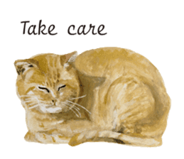 Cats, nothing special, in English sticker #2560389