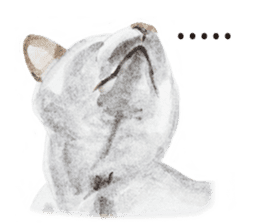 Cats, nothing special, in English sticker #2560390