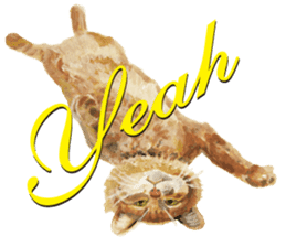 Cats, nothing special, in English sticker #2560392