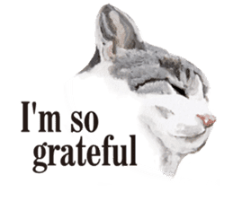 Cats, nothing special, in English sticker #2560393