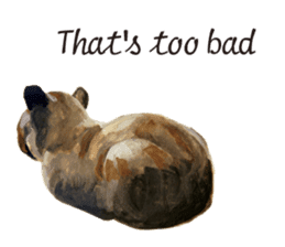 Cats, nothing special, in English sticker #2560397