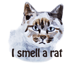 Cats, nothing special, in English sticker #2560398