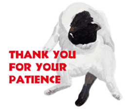 Cats, nothing special, in English sticker #2560399