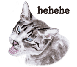 Cats, nothing special, in English sticker #2560400
