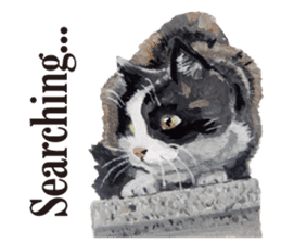 Cats, nothing special, in English sticker #2560401