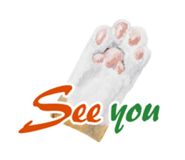 Cats, nothing special, in English sticker #2560404