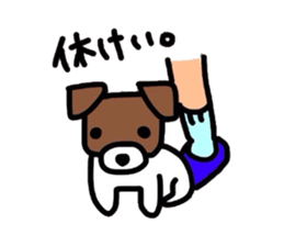 Jack de sticker sticker #2562179