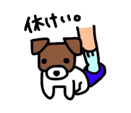 Jack de sticker sticker #2562179