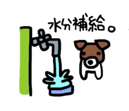 Jack de sticker sticker #2562188