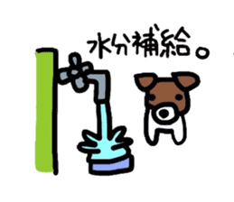 Jack de sticker sticker #2562188