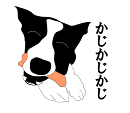 Bordercollie sticker sticker #2563096