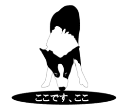 Bordercollie sticker sticker #2563099