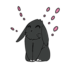 with black rabbit sticker #2564606