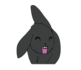 with black rabbit sticker #2564607