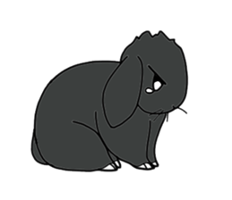 with black rabbit sticker #2564608