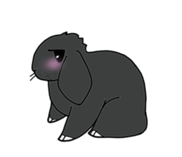with black rabbit sticker #2564611