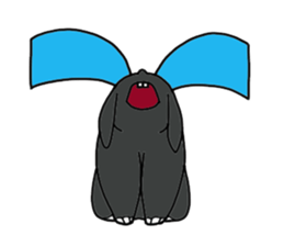 with black rabbit sticker #2564613