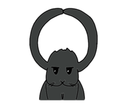 with black rabbit sticker #2564615