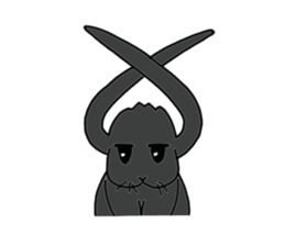 with black rabbit sticker #2564616