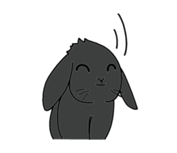 with black rabbit sticker #2564619