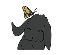 with black rabbit sticker #2564622