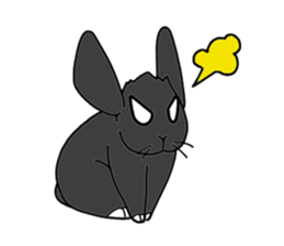 with black rabbit sticker #2564623