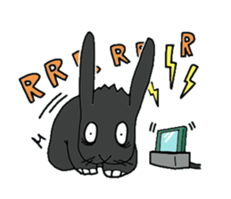 with black rabbit sticker #2564625